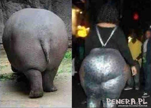 Big ass