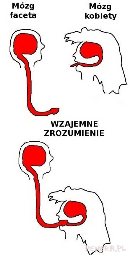 Jest sposób na zrozumienie się kobiety i mężczyzny