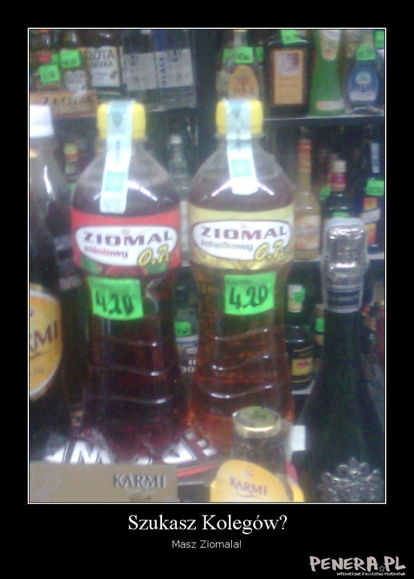 Szukasz kolegów?