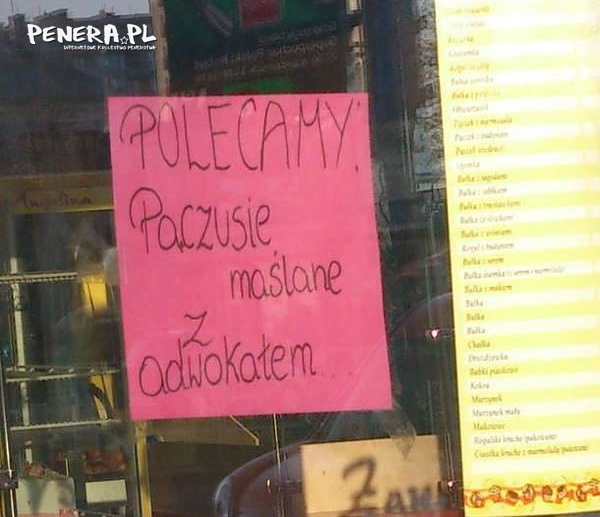 Pączusie z adwokatem