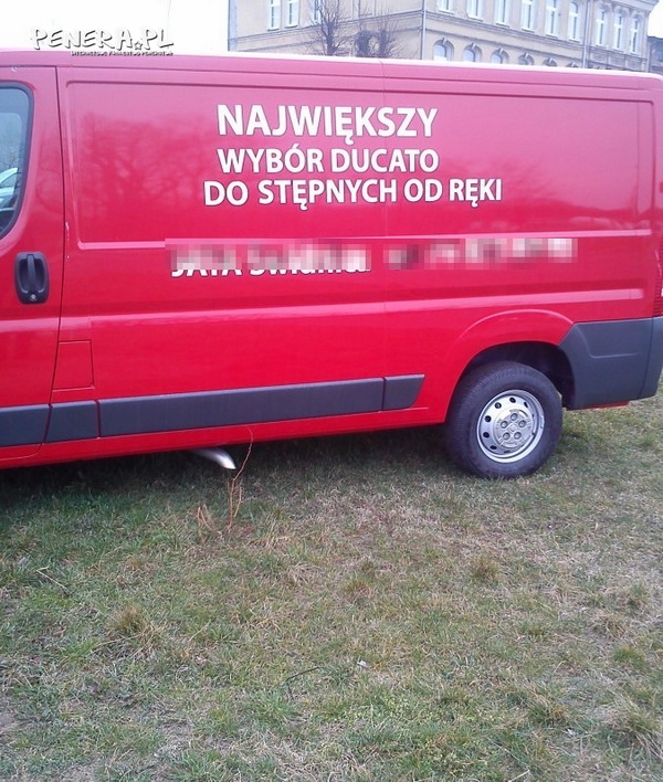 O co chodzi z tymi Ducato?