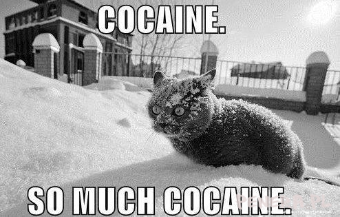 Cocaine so much cocaine!