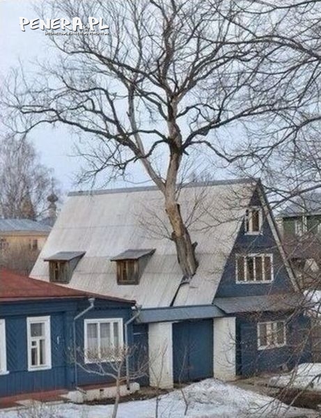 Ekologiczna chata
